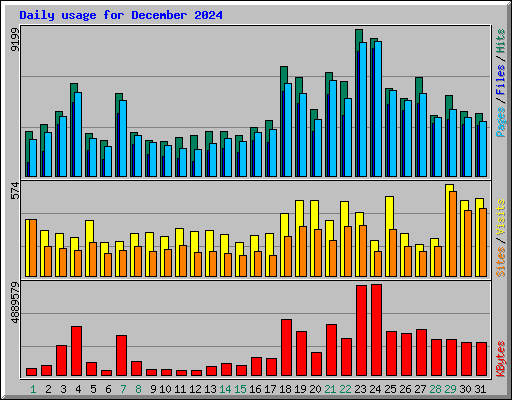 Daily usage for December 2024