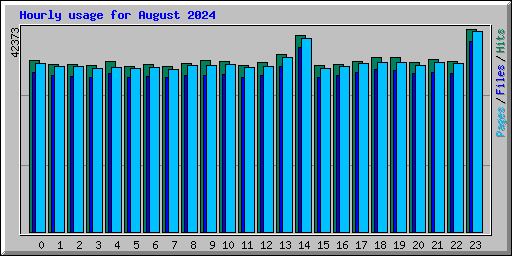 Hourly usage for August 2024