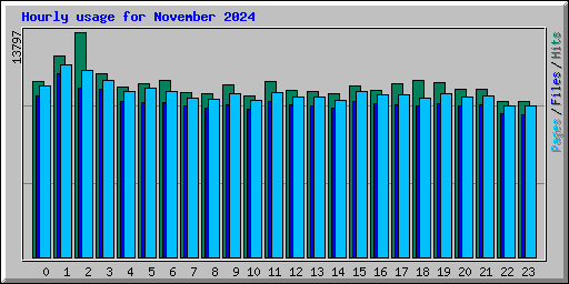 Hourly usage for November 2024