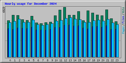 Hourly usage for December 2024