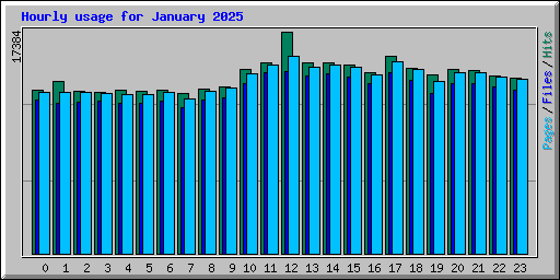 Hourly usage for January 2025