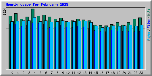 Hourly usage for February 2025