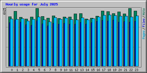 Hourly usage for July 2025