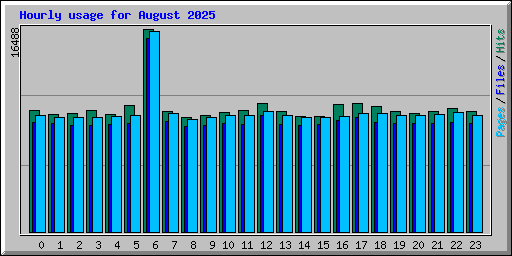 Hourly usage for August 2025