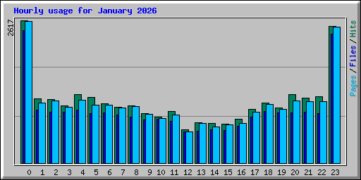 Hourly usage for January 2026