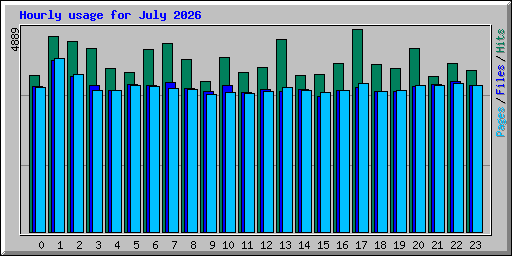 Hourly usage for July 2026