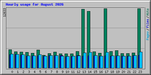 Hourly usage for August 2026